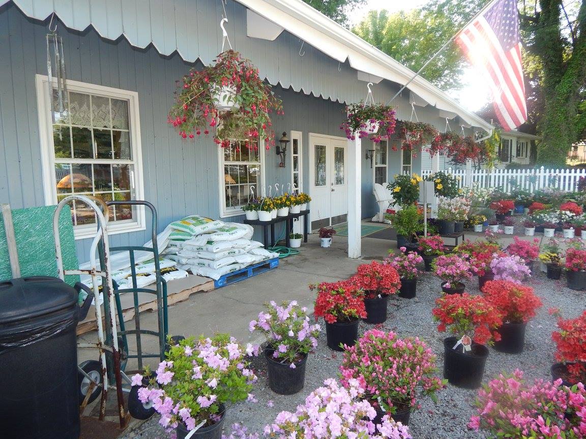 Contact Us | Dayton's Flower and Garden Center